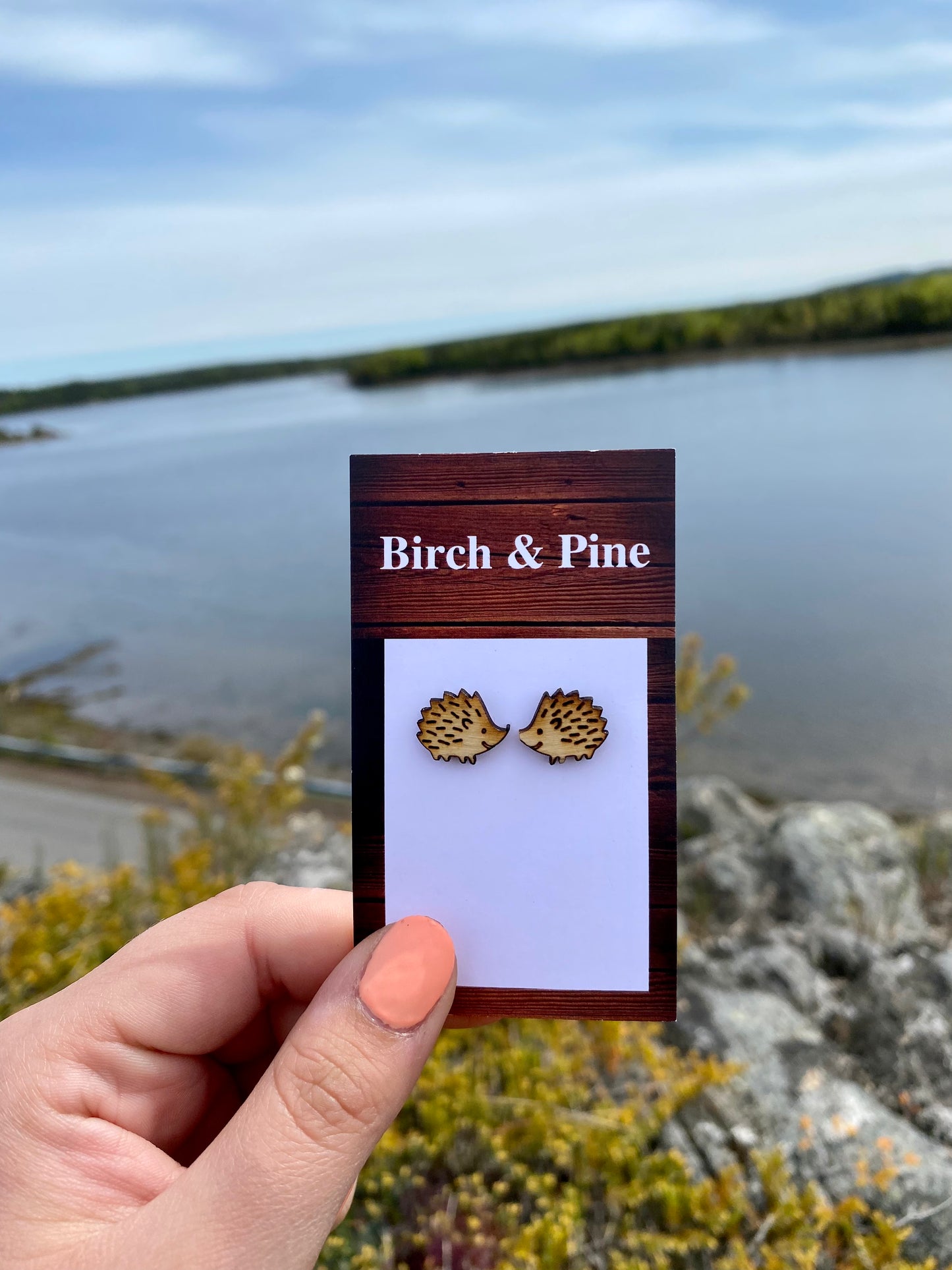 Hedgehog Stud Earrings